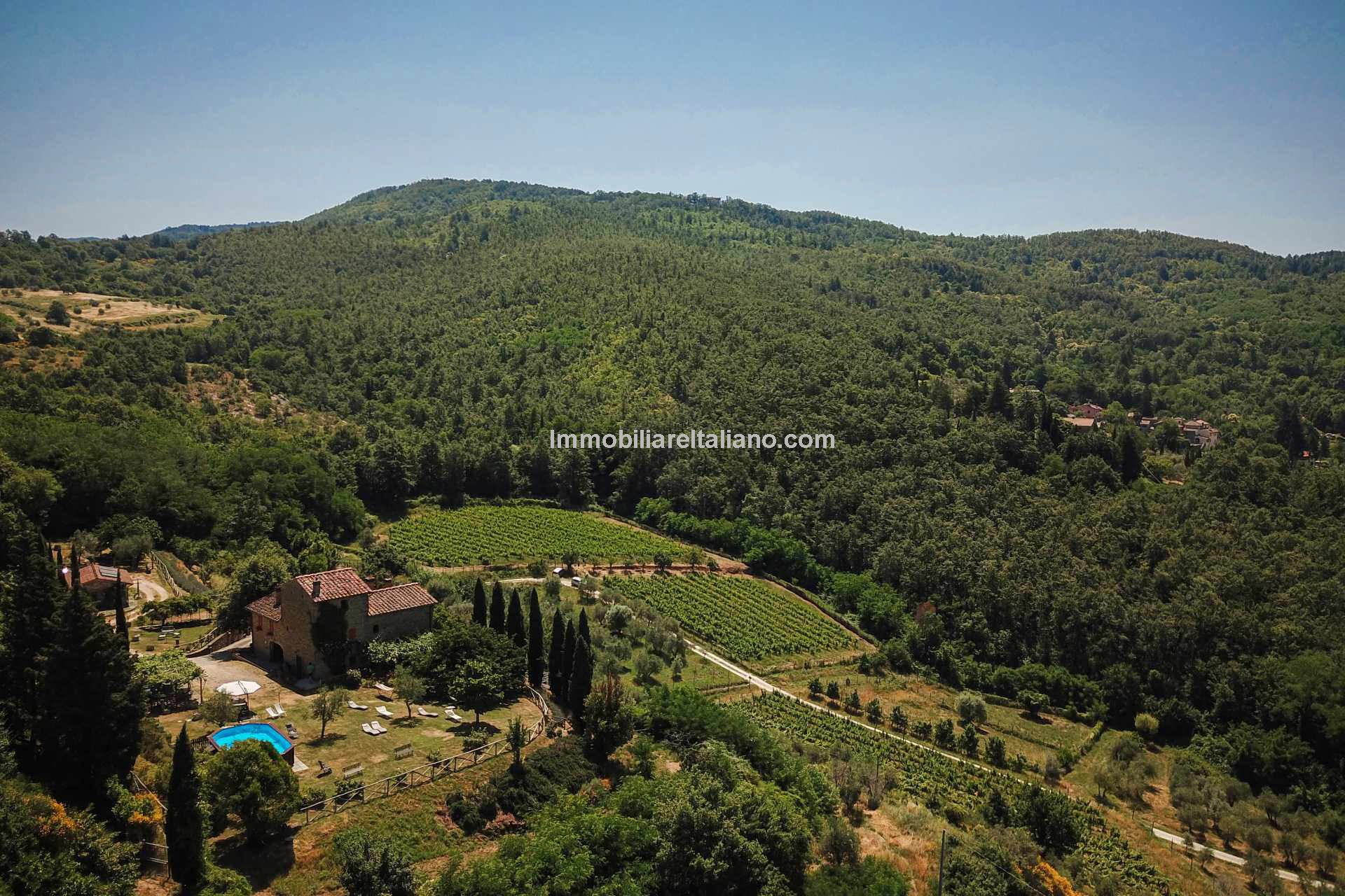 Small organic farm, near Florence Immobiliare Italiano