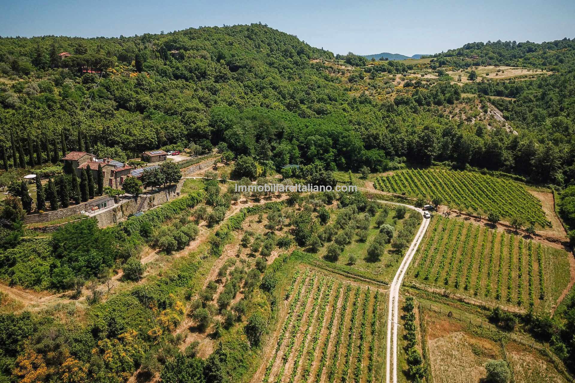 Small organic farm, near Florence Immobiliare Italiano