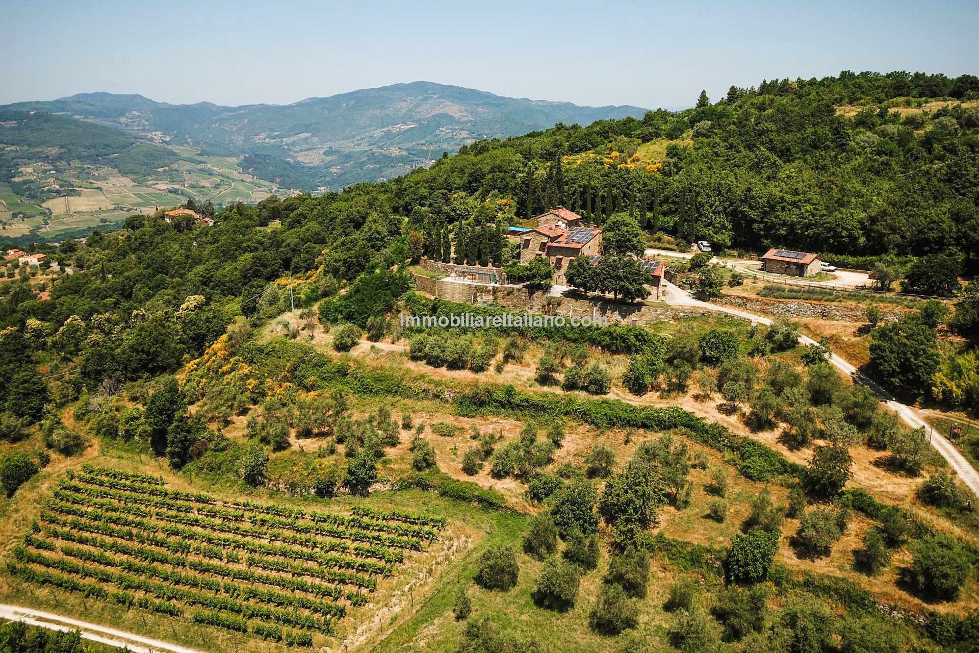 Small organic farm, near Florence Immobiliare Italiano