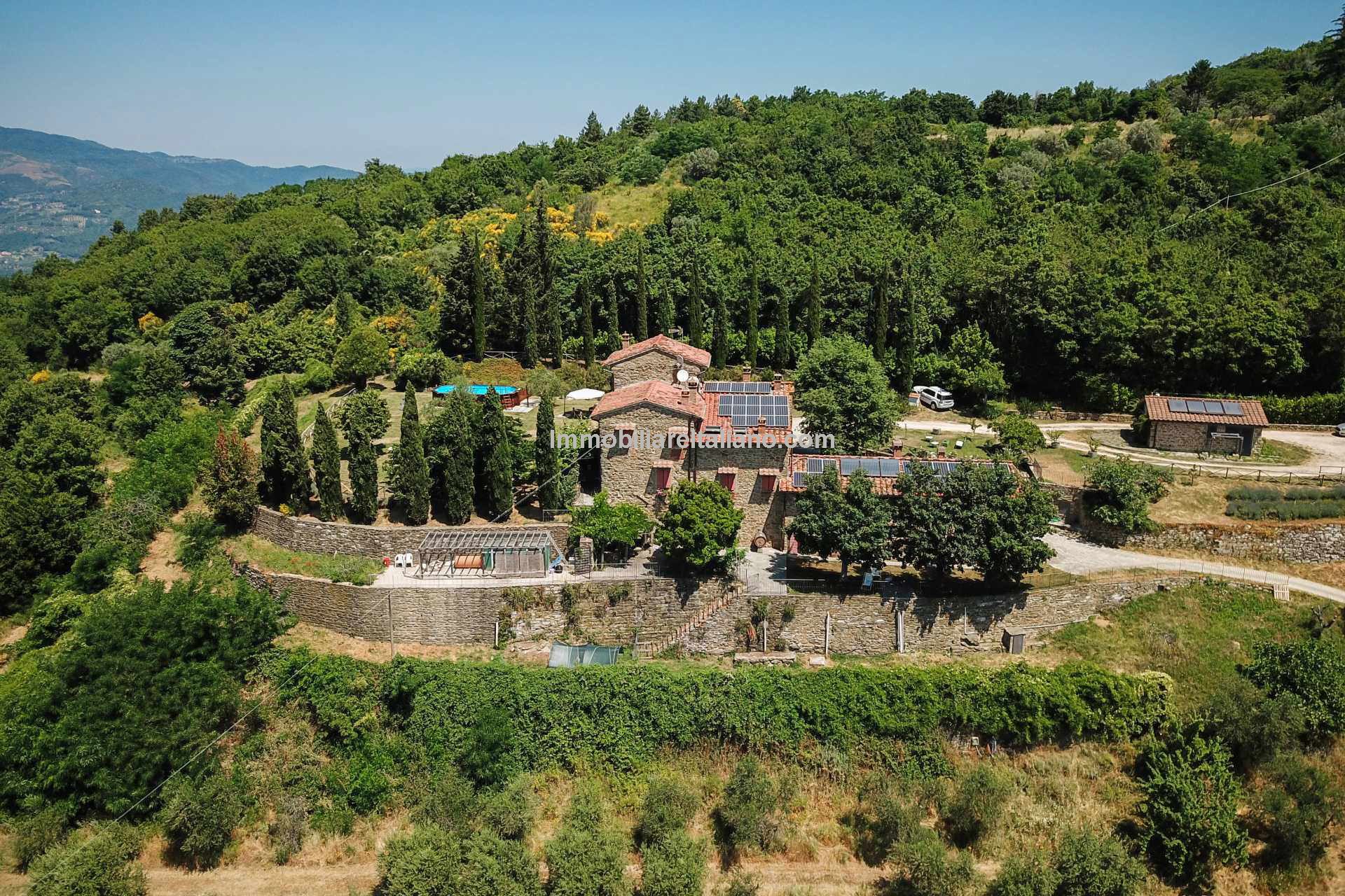 Small organic farm, near Florence Immobiliare Italiano