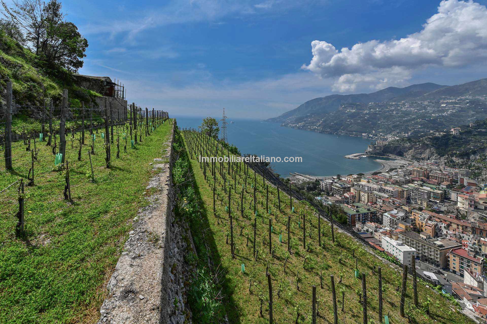 Amalfi Coast organic farm and winery Immobiliare Italiano