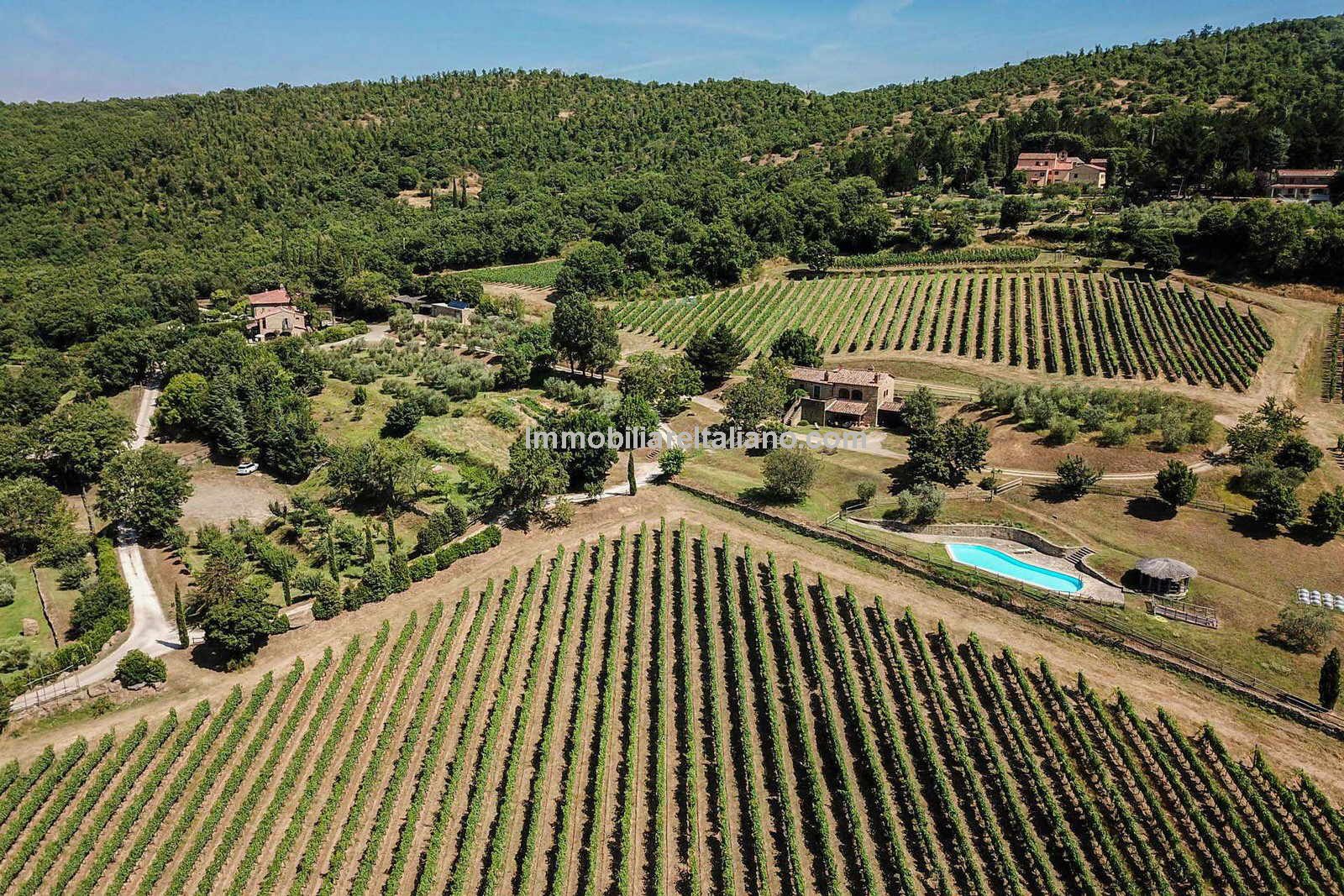 Tuscan Organic Estate Immobiliare Italiano