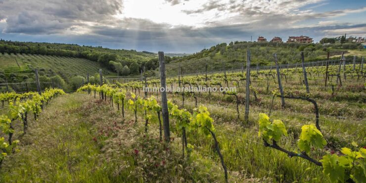 Tuscan Vineyard Property