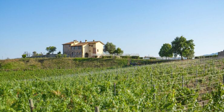 Italian Commercial Opportunity with Expansion Potential