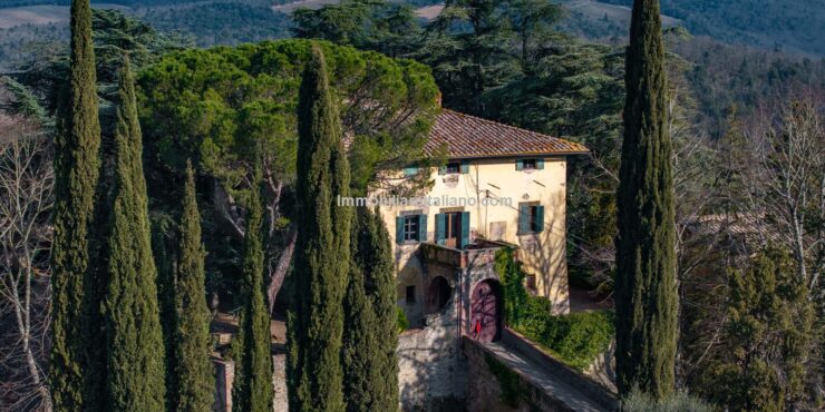 Chianti Historical Vineyard Estate