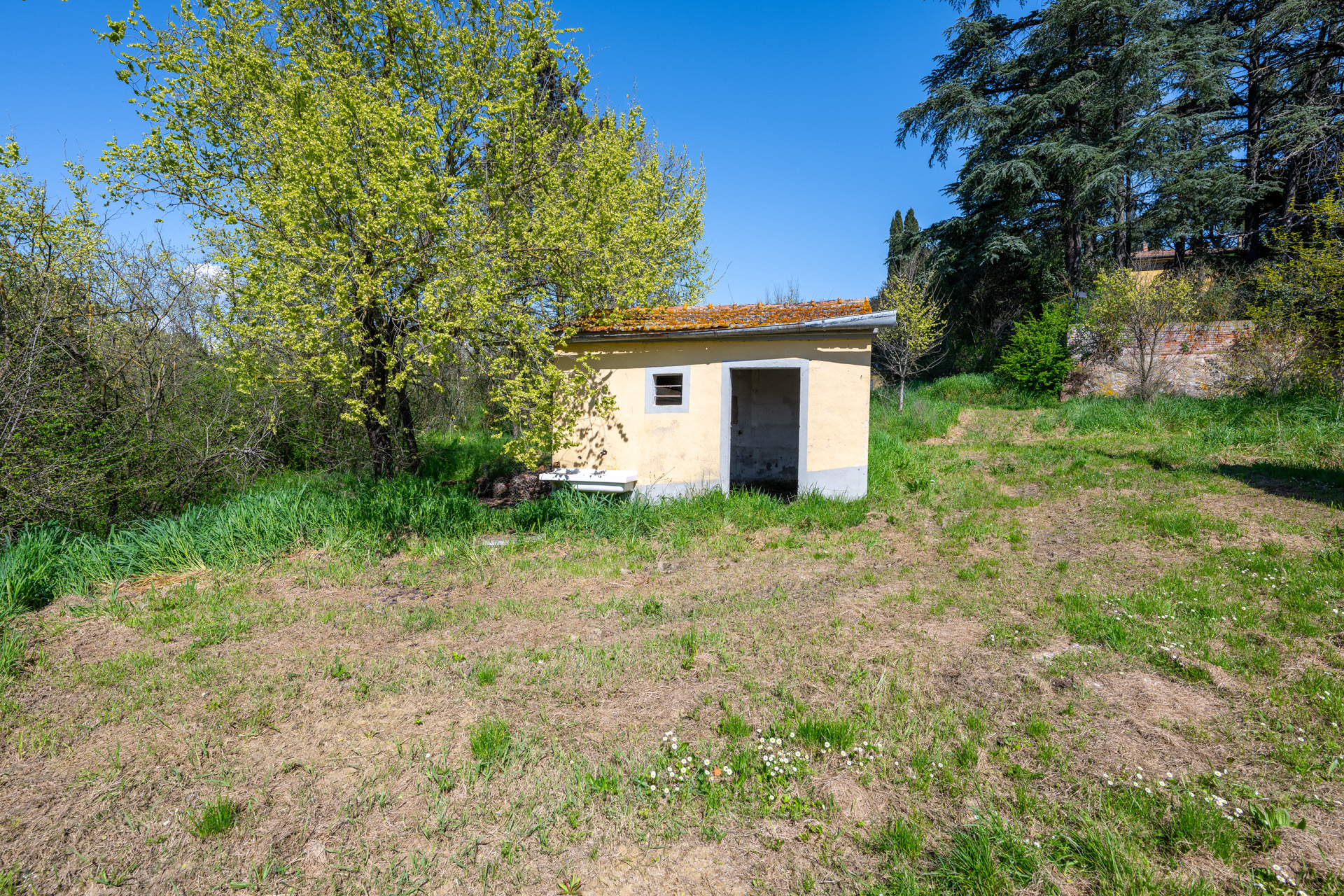 Valdichiana Villa Property Tuscany - 26