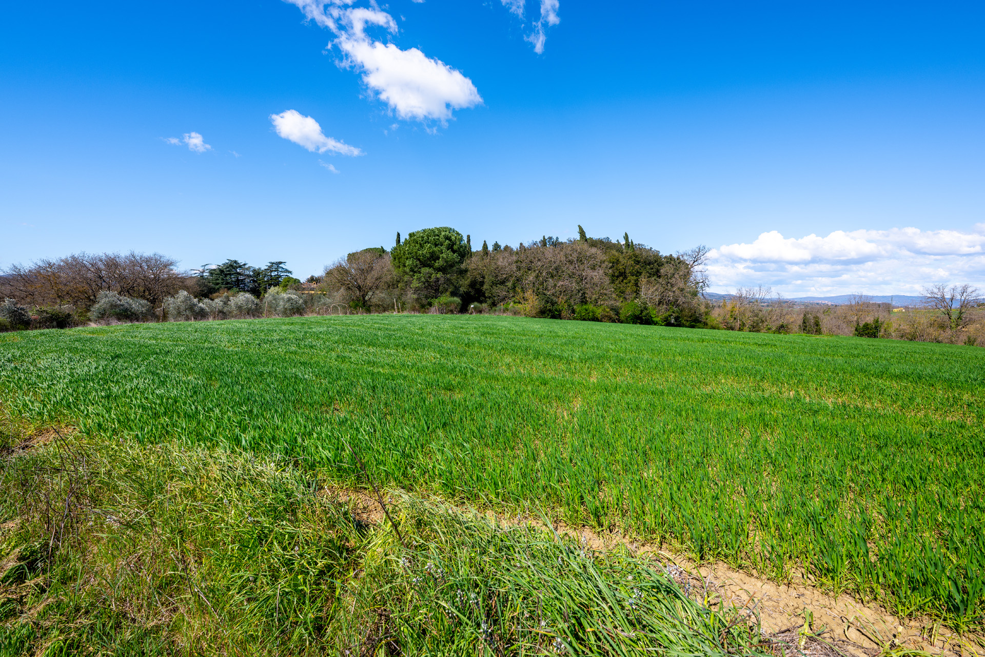 Valdichiana Villa Property Tuscany - 31