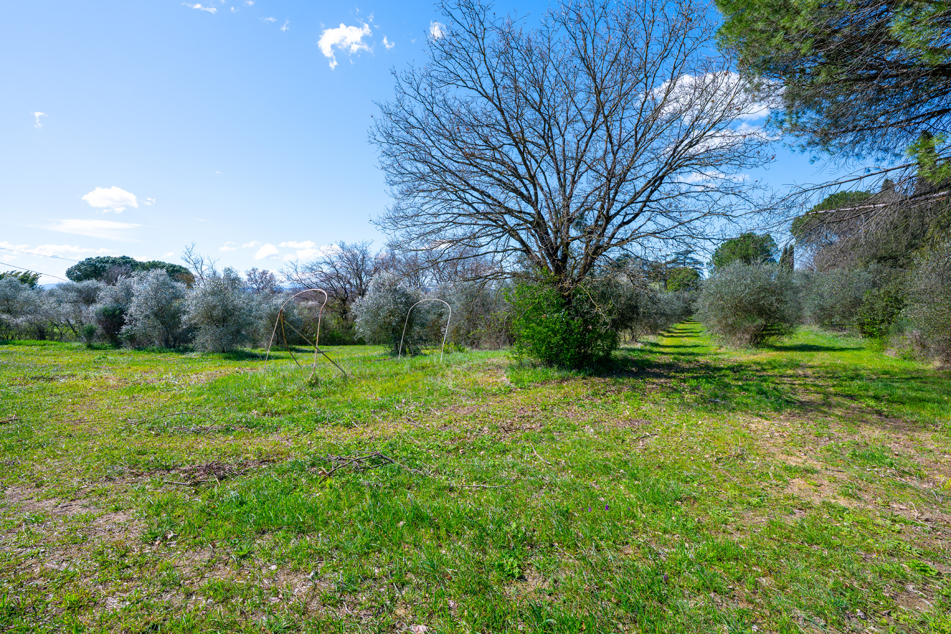 Valdichiana Villa Property Tuscany - 33