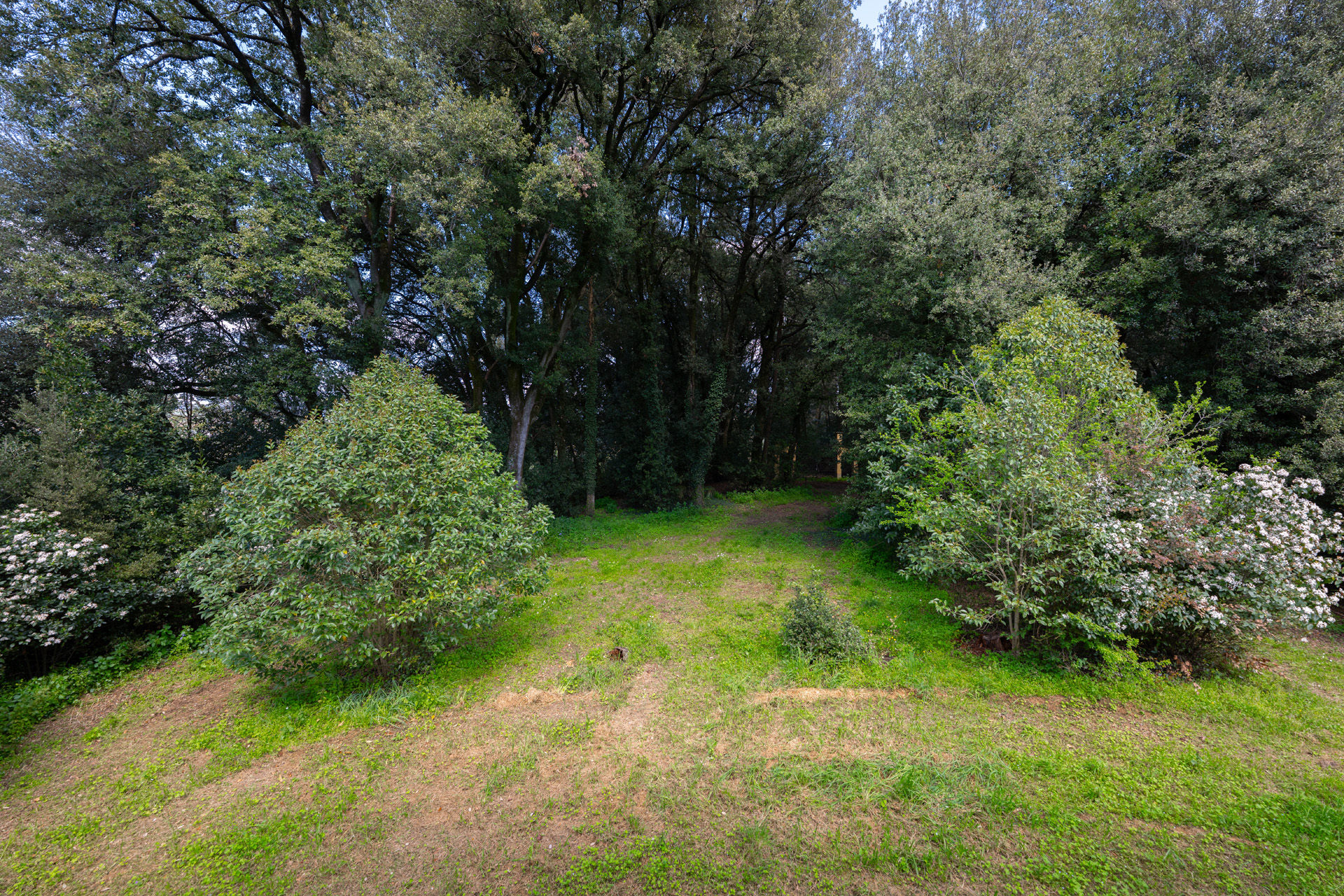 Valdichiana Villa Property Tuscany - 54