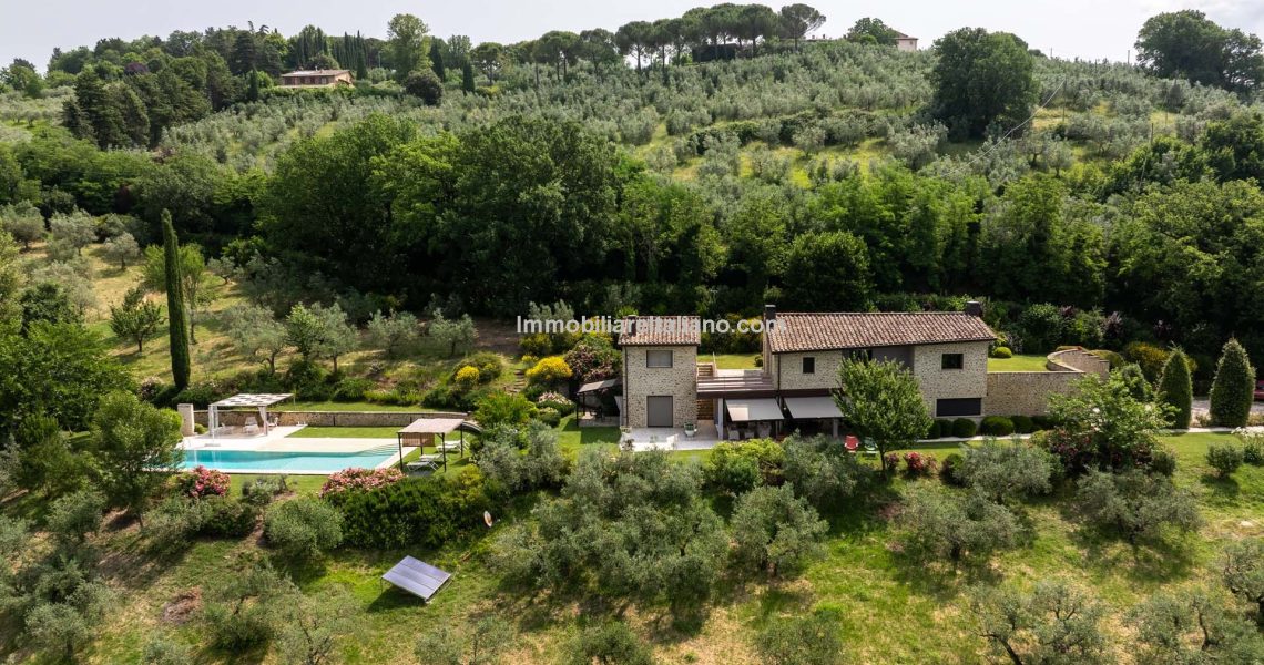 Luxury Home and Income Property Luxury Home and Income Property