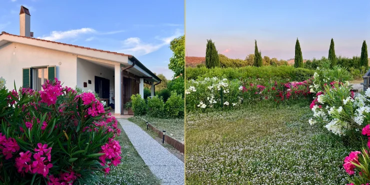 Organic Wine Estate