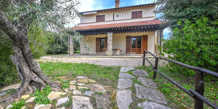 UNDER OFFERItalian Winery and Vineyard for Sale