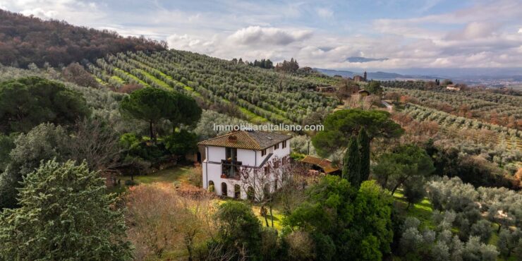Olive Oil Farm