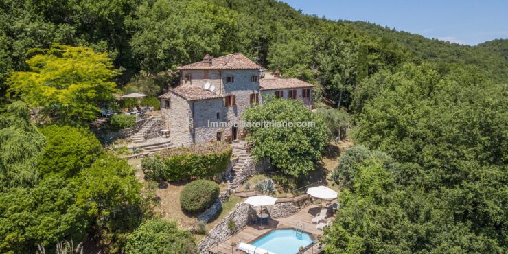 Farmhouse In Tuscany For Sale