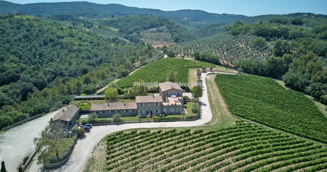 Wine estate with holiday accommodation Wine estate with holiday accommodation