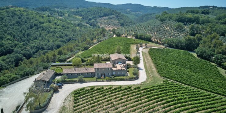 Wine estate with holiday accommodation
